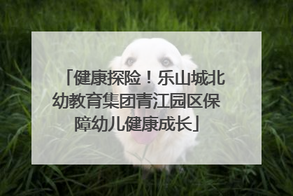 健康探险！乐山城北幼教育集团青江园区保障幼儿健康成长