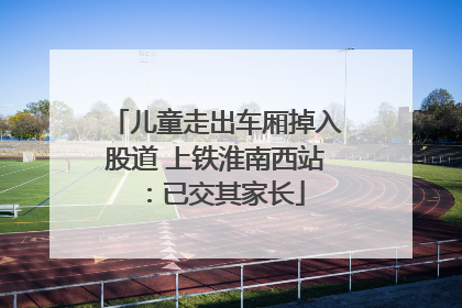 儿童走出车厢掉入股道 上铁淮南西站：已交其家长