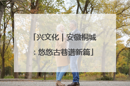 兴文化｜安徽桐城：悠悠古巷谱新篇