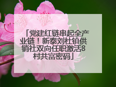 党建红链串起全产业链！新泰刘杜镇供销社双向任职激活8村共富密码