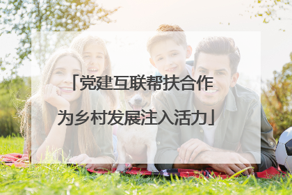 党建互联帮扶合作 为乡村发展注入活力