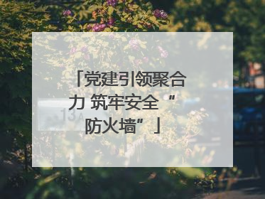 党建引领聚合力 筑牢安全“防火墙”