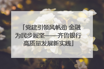 党建引领风帆劲 金融为民步履坚——齐鲁银行高质量发展新实践