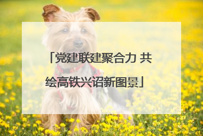 党建联建聚合力 共绘高铁兴诏新图景
