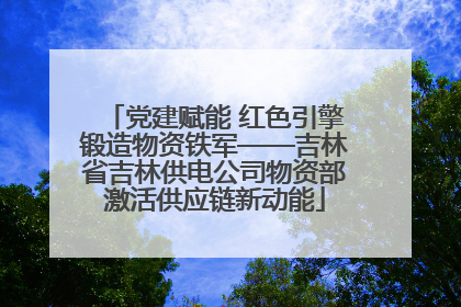 党建赋能 红色引擎锻造物资铁军——吉林省吉林供电公司物资部激活供应链新动能