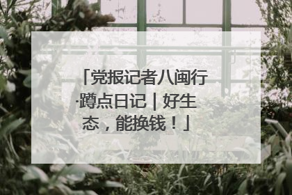 党报记者八闽行·蹲点日记｜好生态，能换钱！
