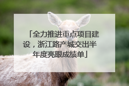 全力推进重点项目建设，浙江路产城交出半年度亮眼成绩单