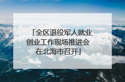 全区退役军人就业创业工作现场推进会在北海市召开