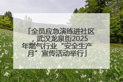 全员应急演练进社区，武汉龙泉街2025年燃气行业“安全生产月”宣传活动举行