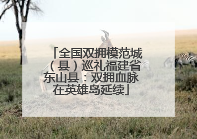 全国双拥模范城（县）巡礼福建省东山县：双拥血脉在英雄岛延续