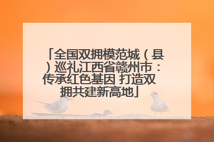 全国双拥模范城（县）巡礼江西省赣州市：传承红色基因 打造双拥共建新高地