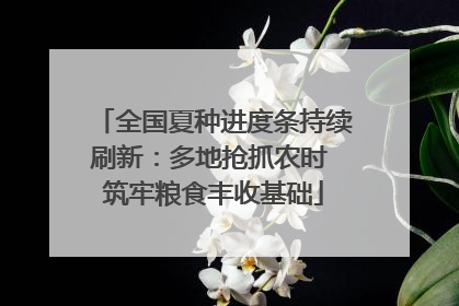 全国夏种进度条持续刷新：多地抢抓农时 筑牢粮食丰收基础
