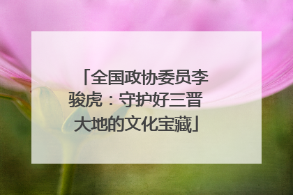全国政协委员李骏虎：守护好三晋大地的文化宝藏