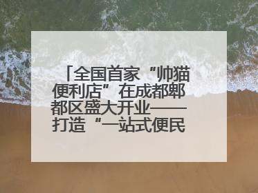 全国首家“帅猫便利店”在成都郫都区盛大开业——打造“一站式便民服务”新标杆