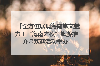全方位展现海南旅文魅力！“海南之夜”旅游推介暨欢迎活动举办