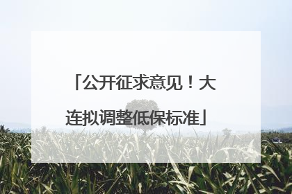 公开征求意见！大连拟调整低保标准
