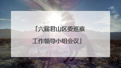 六届君山区委巡察工作领导小组会议