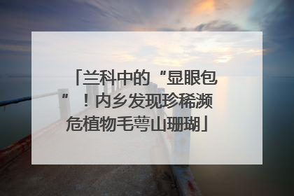 兰科中的“显眼包”！内乡发现珍稀濒危植物毛萼山珊瑚