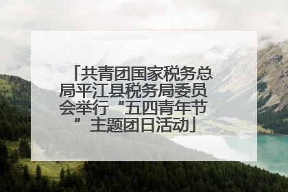 共青团国家税务总局平江县税务局委员会举行“五四青年节”主题团日活动