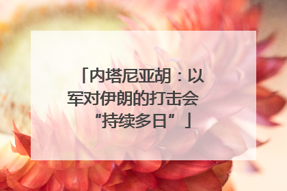 内塔尼亚胡：以军对伊朗的打击会“持续多日”