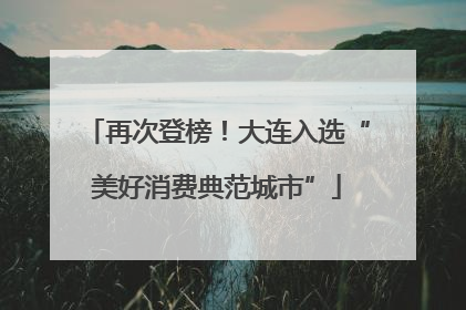 再次登榜！大连入选“美好消费典范城市”
