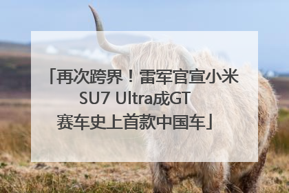再次跨界！雷军官宣小米SU7 Ultra成GT赛车史上首款中国车