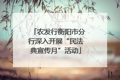 农发行衡阳市分行深入开展“民法典宣传月”活动