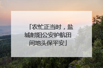 农忙正当时，盐城射阳公安护航田间地头保平安