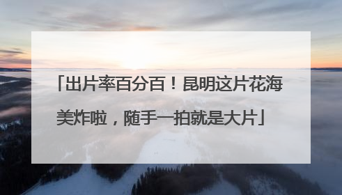 出片率百分百！昆明这片花海美炸啦，随手一拍就是大片