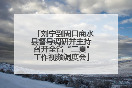 刘宁到周口商水县督导调研并主持召开全省“三夏”工作视频调度会