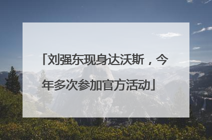 刘强东现身达沃斯，今年多次参加官方活动