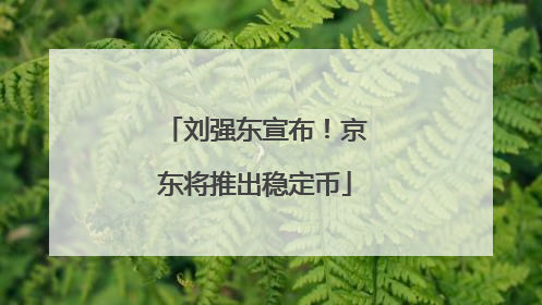 刘强东宣布！京东将推出稳定币