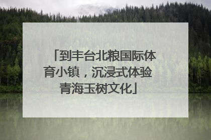 到丰台北粮国际体育小镇，沉浸式体验青海玉树文化