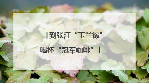到张江“玉兰镓”喝杯“冠军咖啡”