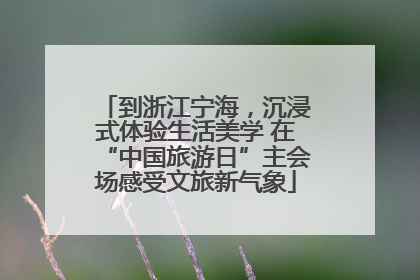到浙江宁海，沉浸式体验生活美学 在“中国旅游日”主会场感受文旅新气象