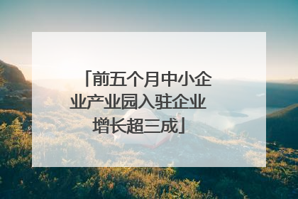 前五个月中小企业产业园入驻企业增长超三成