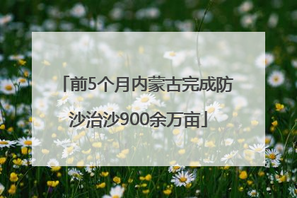 前5个月内蒙古完成防沙治沙900余万亩