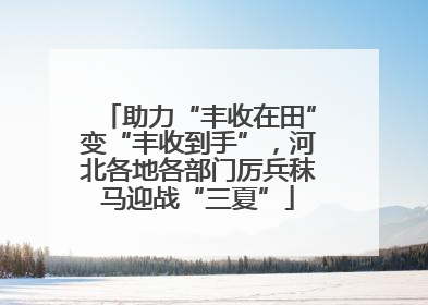 助力“丰收在田”变“丰收到手”，河北各地各部门厉兵秣马迎战“三夏”