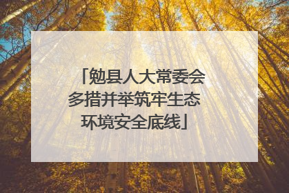勉县人大常委会多措并举筑牢生态环境安全底线