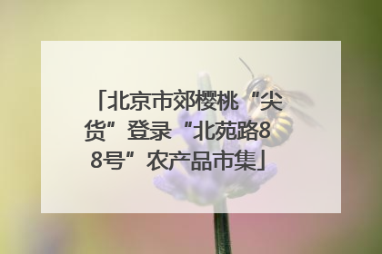 北京市郊樱桃“尖货”登录“北苑路88号”农产品市集