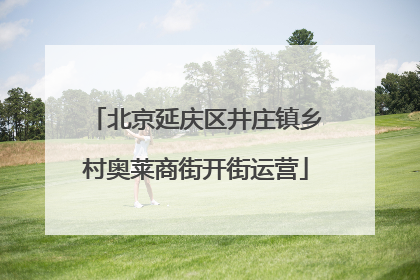 北京延庆区井庄镇乡村奥莱商街开街运营
