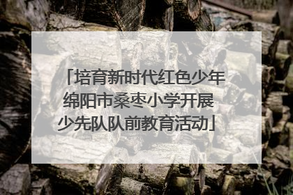 培育新时代红色少年 绵阳市桑枣小学开展少先队队前教育活动