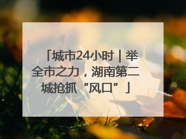 城市24小时｜举全市之力，湖南第二城抢抓“风口”