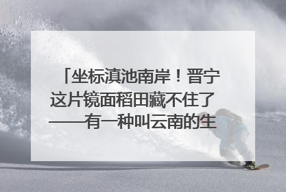 坐标滇池南岸！晋宁这片镜面稻田藏不住了——有一种叫云南的生活之365天
