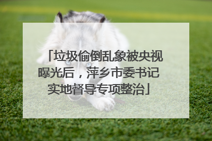 垃圾偷倒乱象被央视曝光后，萍乡市委书记实地督导专项整治