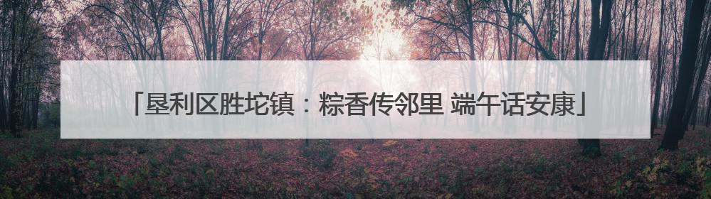 垦利区胜坨镇：粽香传邻里 端午话安康