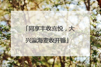 同享丰收喜悦，大兴瀛海麦收开镰