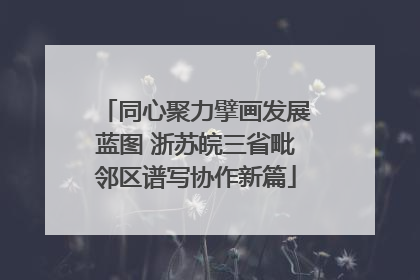 同心聚力擘画发展蓝图 浙苏皖三省毗邻区谱写协作新篇