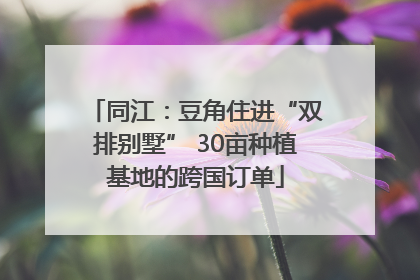 同江：豆角住进“双排别墅” 30亩种植基地的跨国订单