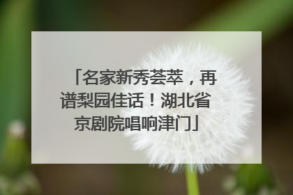 名家新秀荟萃，再谱梨园佳话！湖北省京剧院唱响津门